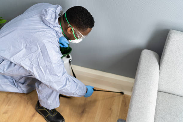 Emergency Pest Control in Delano, CA